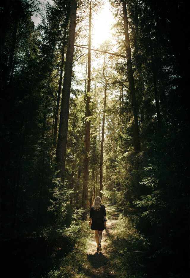 Woman walking in a forest towards sunshine